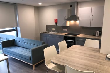 1 bed flat, Little Patrick Street, Holylands, Belfast, BT151BH - Image 8